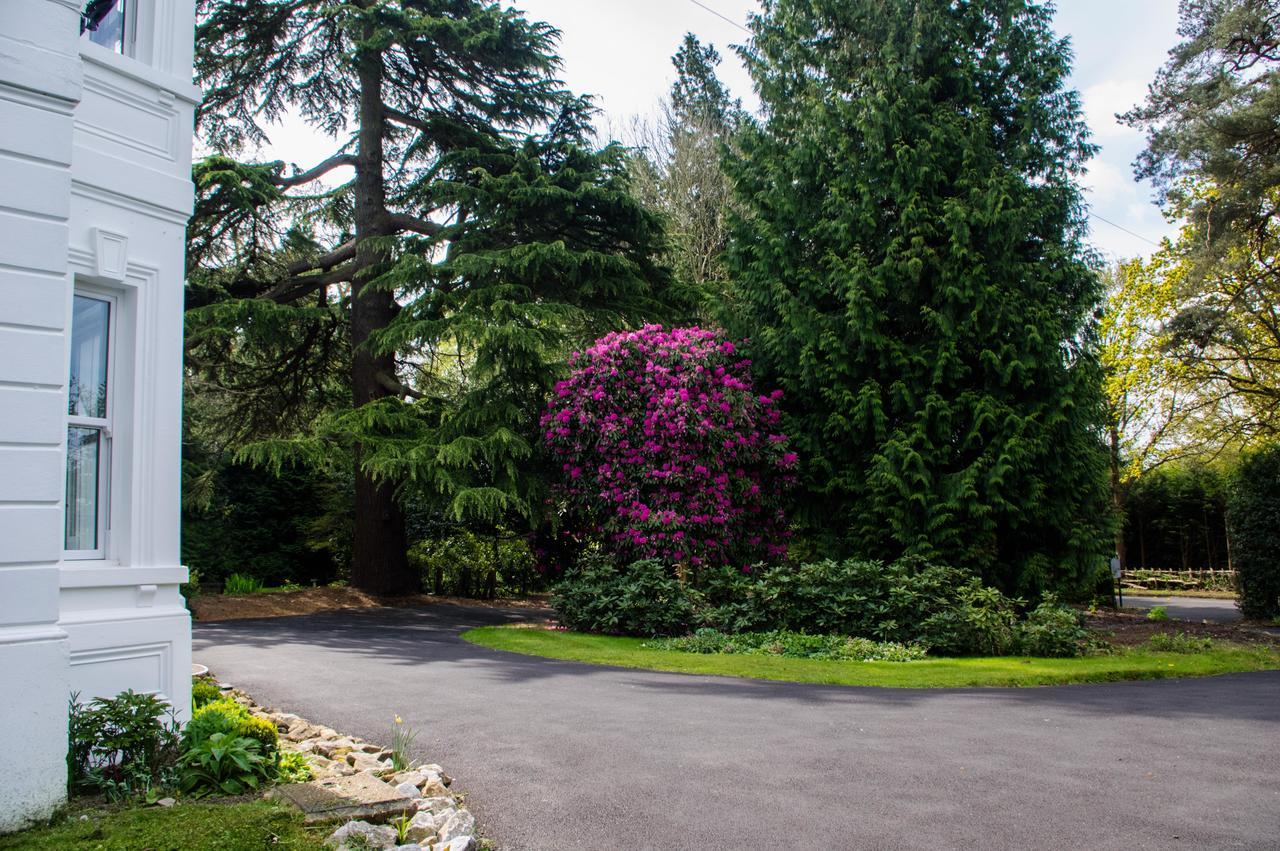 Claridge House Bed and Breakfast Lingfield Εξωτερικό φωτογραφία